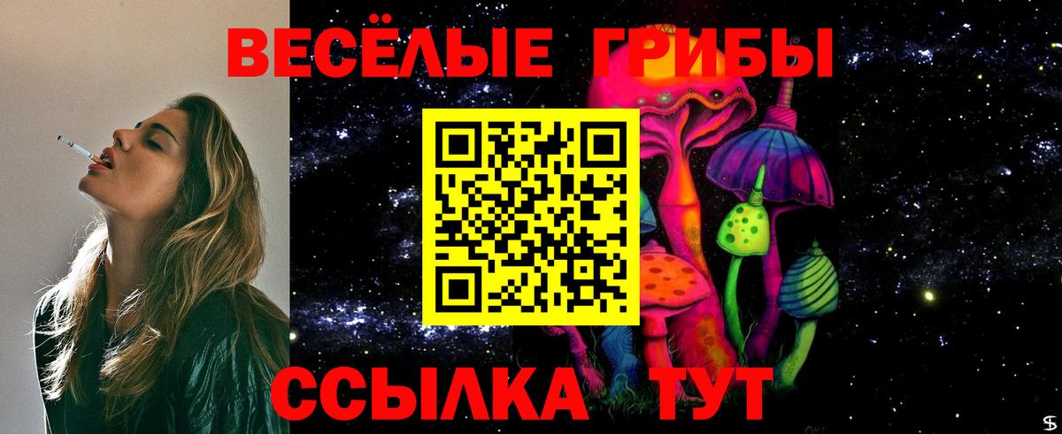 Галлюциногенные грибы прущие грибы Астрахань