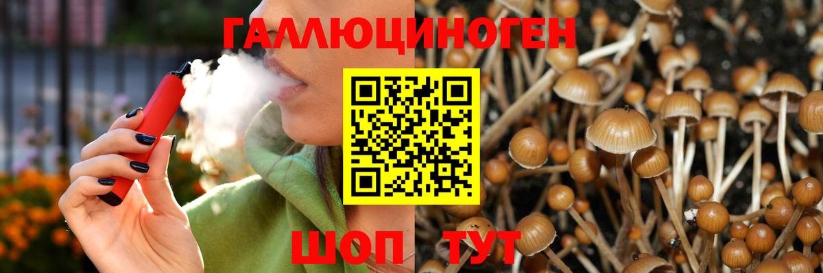 Галлюциногенные грибы MAGIC MUSHROOMS  Вход с VPN  Астрахань 