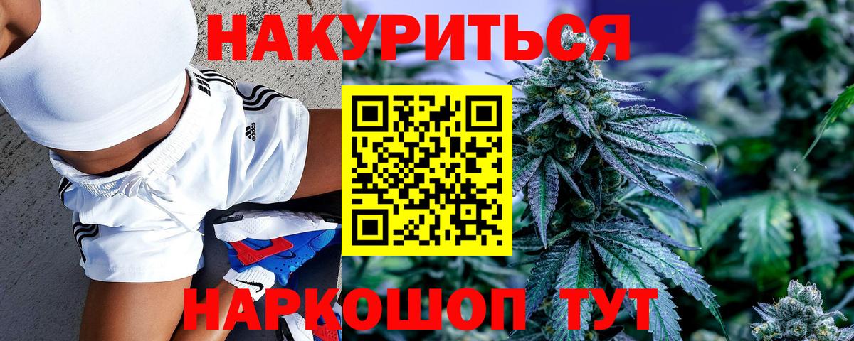 Канабис сатива Астрахань